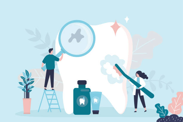 Professional Holistic Dental Care Services in Mount Carroll, IL